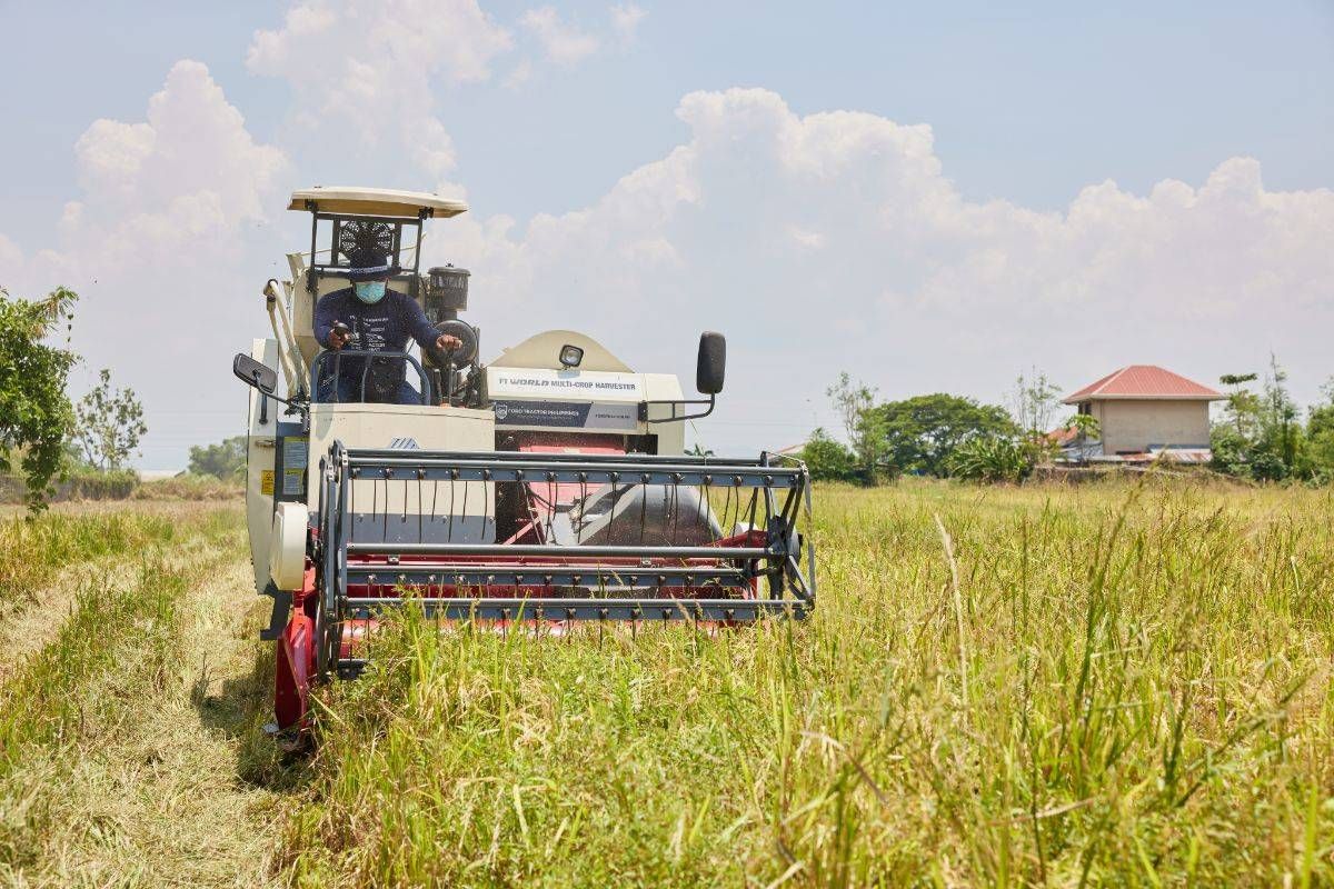 Harvest Process